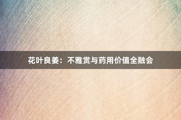 花叶良姜：不雅赏与药用价值全融会