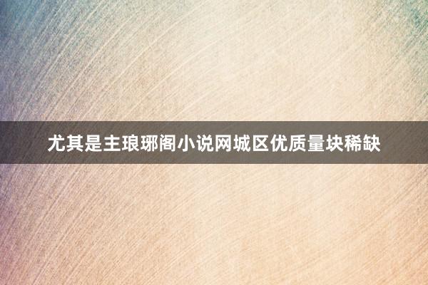 尤其是主琅琊阁小说网城区优质量块稀缺
