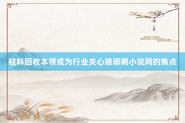 硅料回收本领成为行业关心琅琊阁小说网的焦点